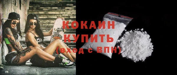индика Ладушкин
