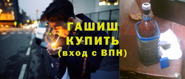индика Ладушкин
