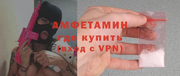 индика Ладушкин