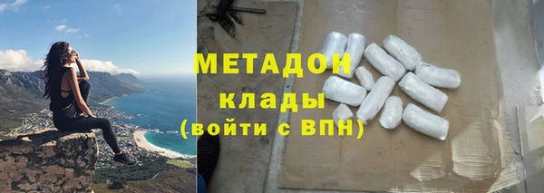 индика Ладушкин