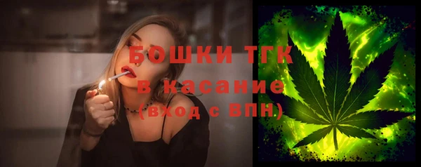 индика Ладушкин