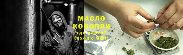 индика Ладушкин