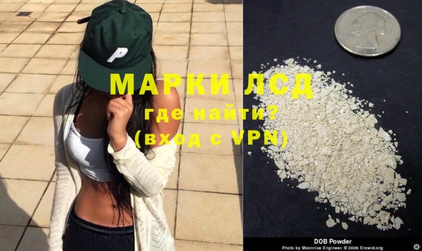индика Ладушкин