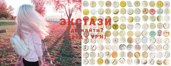 индика Ладушкин
