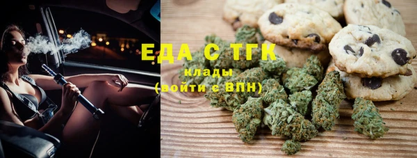 индика Ладушкин