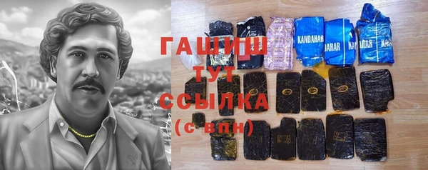 индика Ладушкин