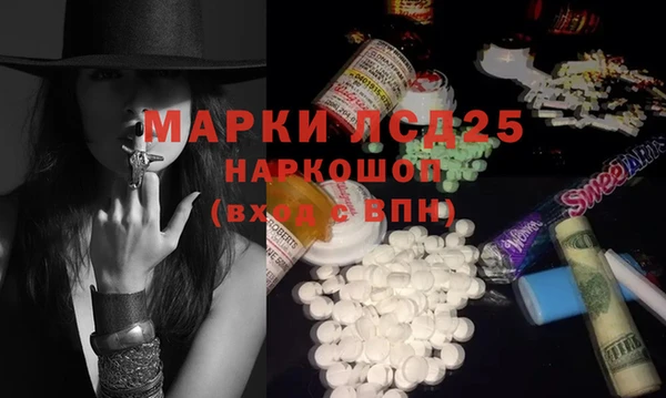 индика Ладушкин