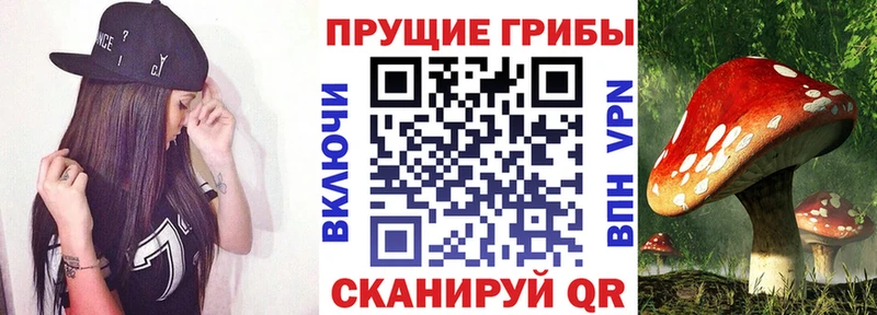 Галлюциногенные грибы MAGIC MUSHROOMS Учалы