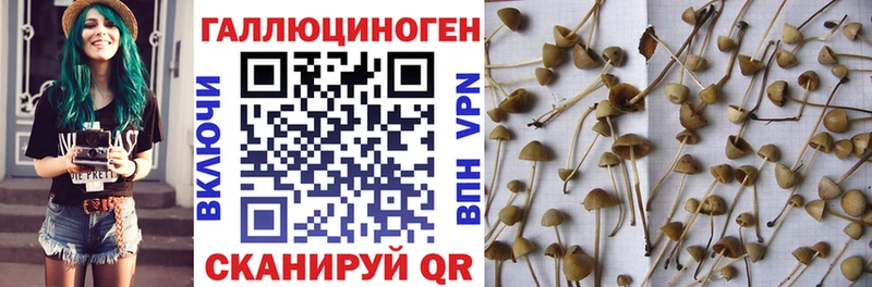 Псилоцибиновые грибы Cubensis  что такое наркотик  Учалы 