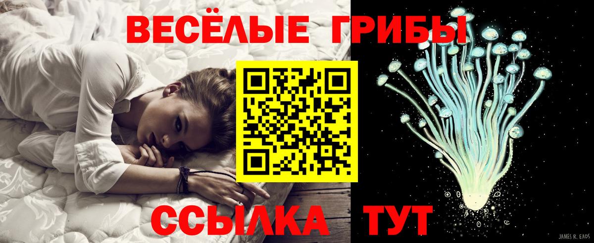 Псилоцибиновые грибы прущие грибы Учалы
