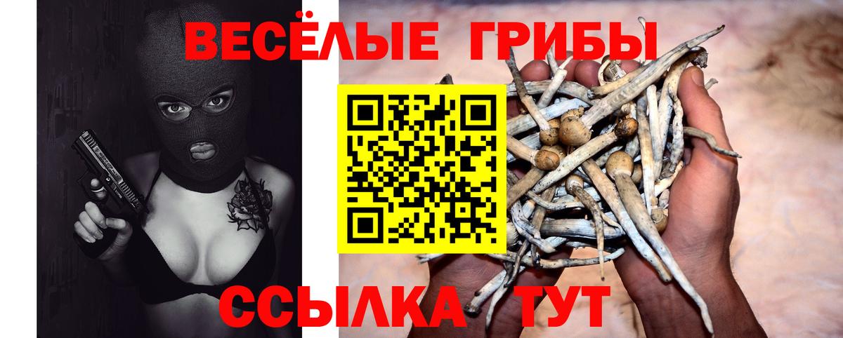 Галлюциногенные грибы ЛСД  Учалы  купить наркоту  Псилоцибиновые грибы Psilocybine cubensis 